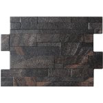 DENT FRONTAGE FD NEGRO 1A