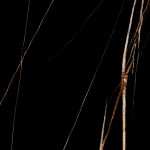 60X120 BARILÉ BRILLANTE NEGRO 1.44